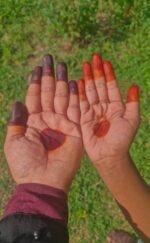 Premium Henna Powder - Image 3