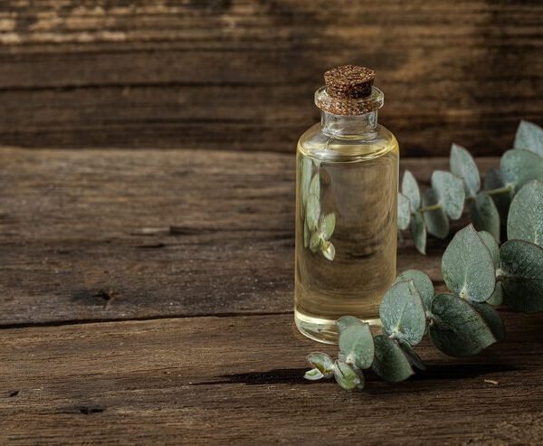 Eucalyptus Essential Oil