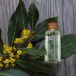 Cajeput Essential Oil